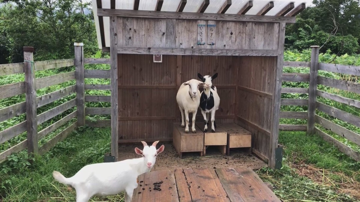 おかーさんの隣。少し雨がパラついてるヨ☔。