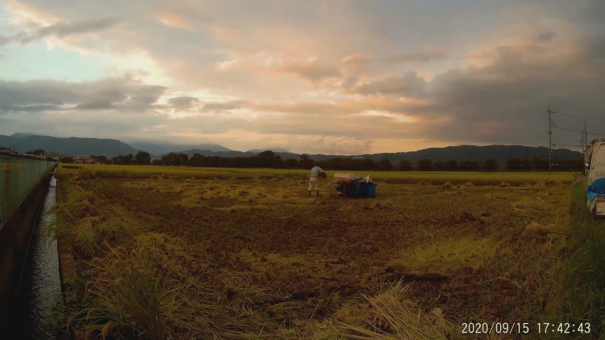 9月15日の稲刈り・脱穀の様子を2分でどうぞ♪♬