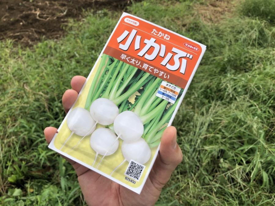 「こかぶ」の種まき。vol.1