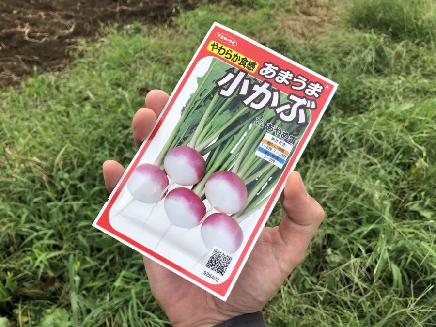 「あやめ雪」の種まき。vol.1