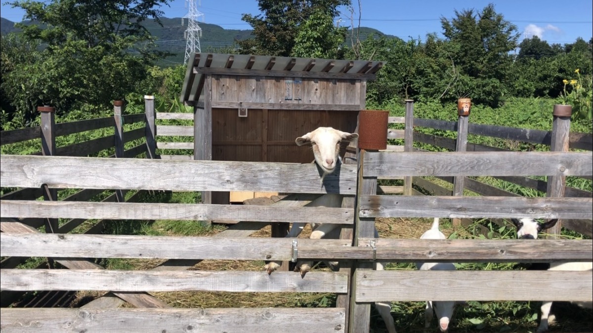 久々に晴れたヨ🌞♪♬