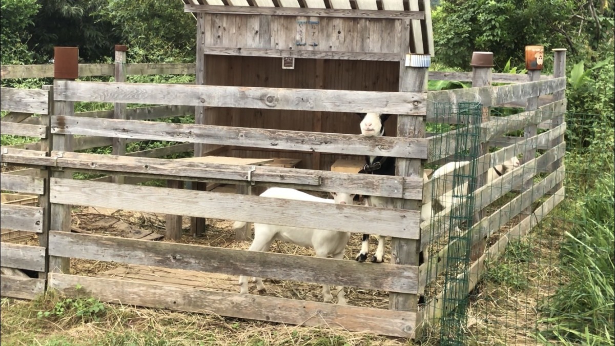 今日のわたしたち。（なにも起きません）