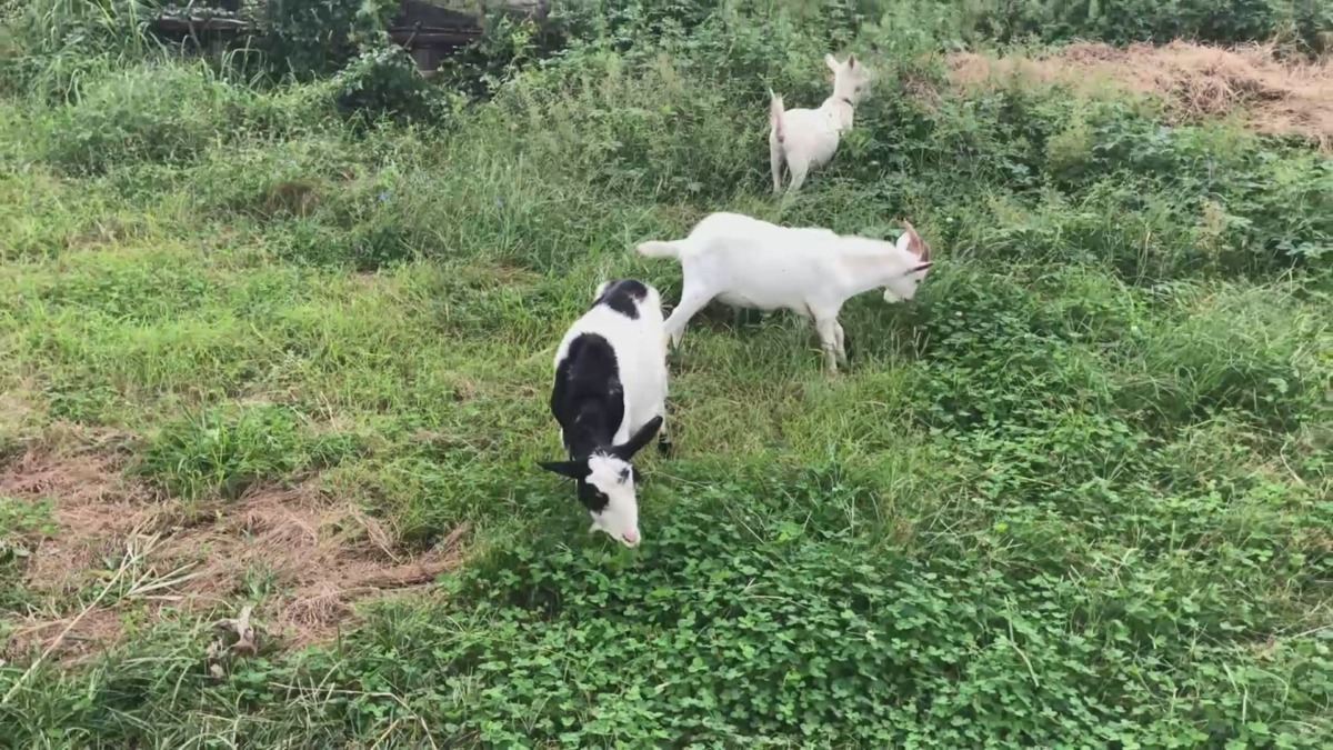 母姉弟そろって少し遠出。