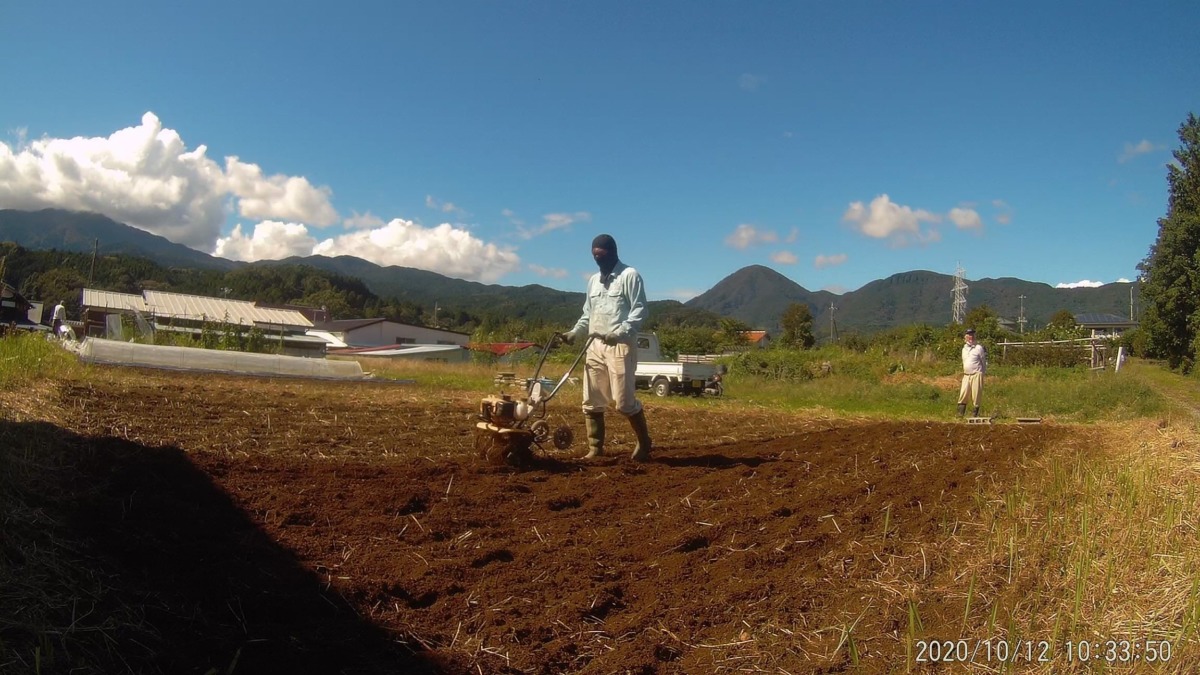 【タイムラプス】明日のきゃべつ・白菜苗植え用の畝たてです。