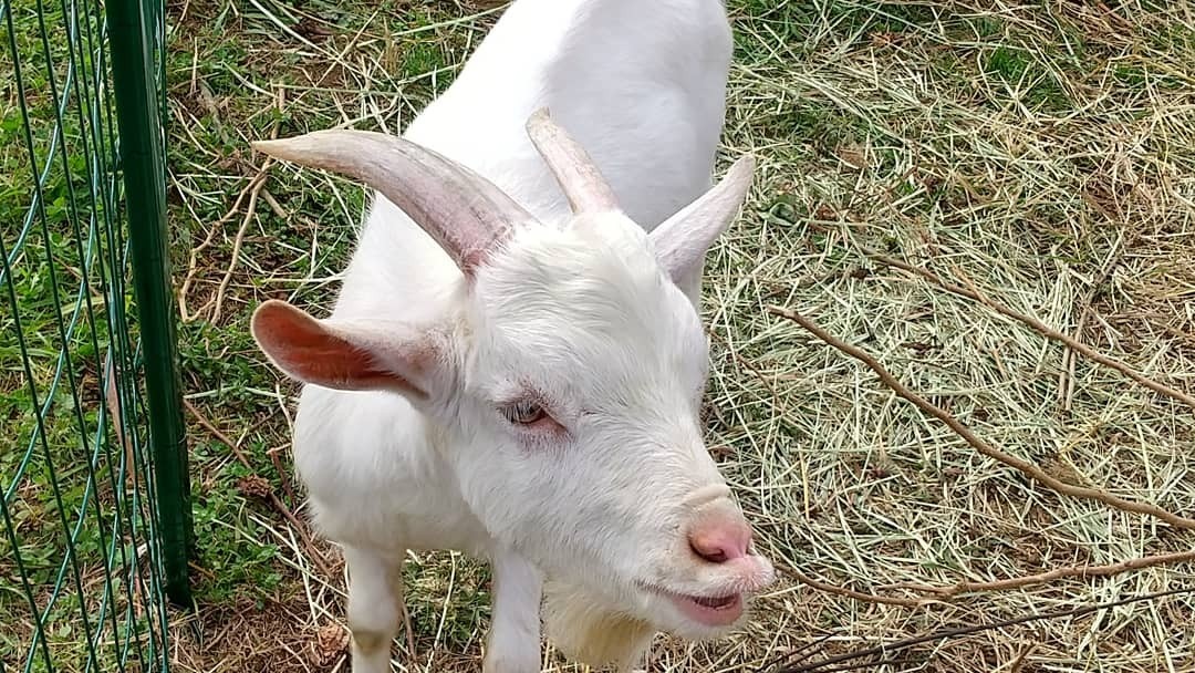 おとうとの変顔😆