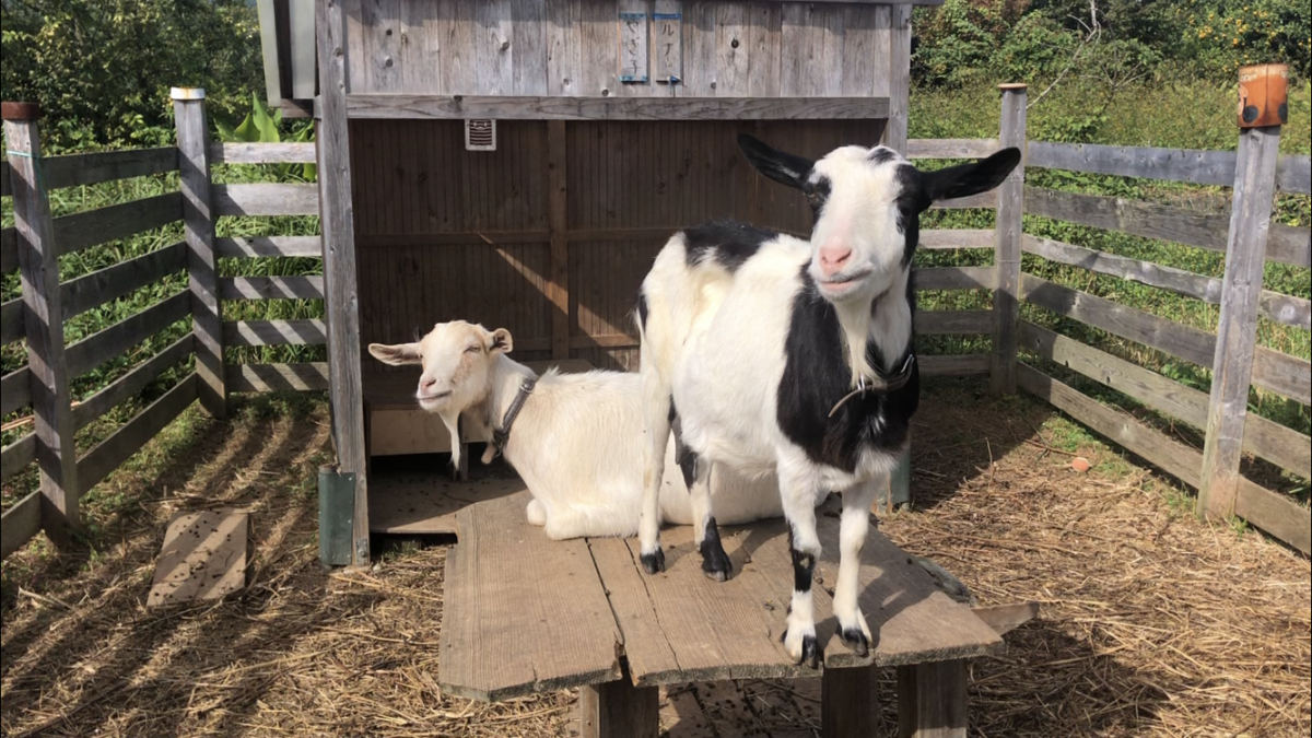 むにゃむにゃ。