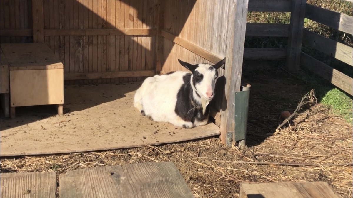うとうと→くしゃみ🤧。寒いので。