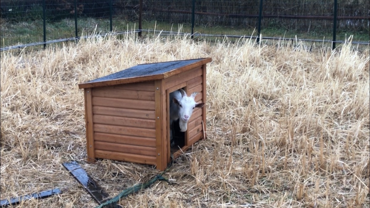昨日はしょぼんでした☔