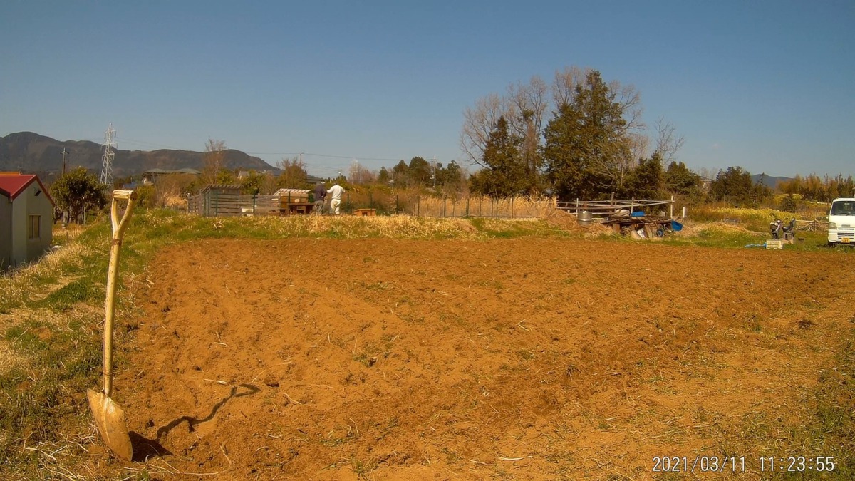 耕しと、やぎ小屋の今後について相談