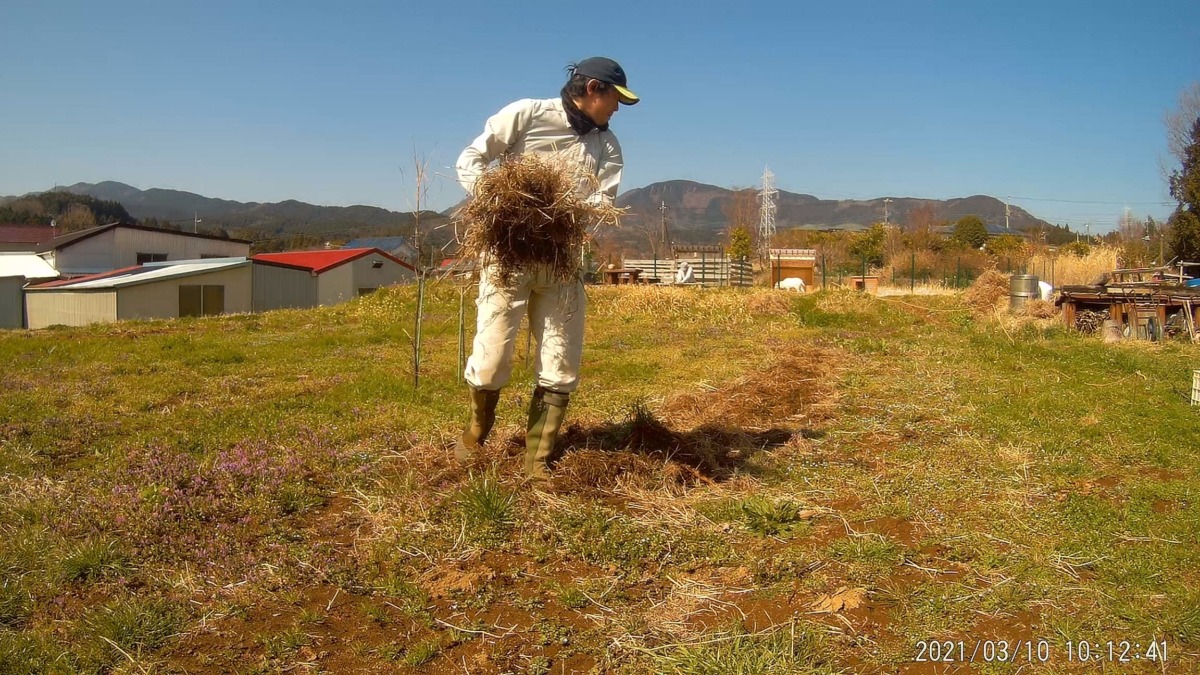 【ファーマーズラプス♪】夏野菜始まります！まずは草刈り。