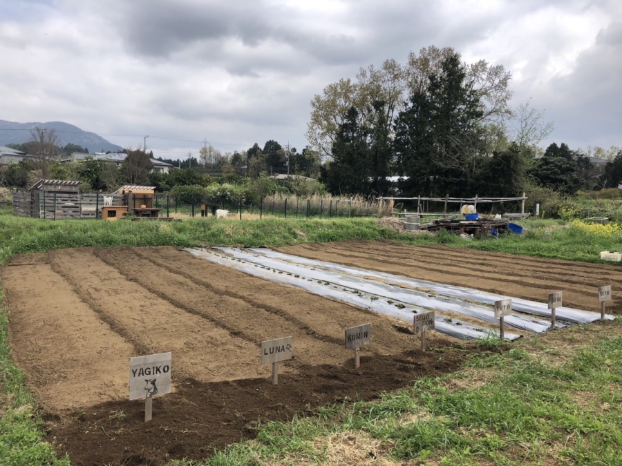 【ファーマーズラプス♪】マイブロックスタートします♪